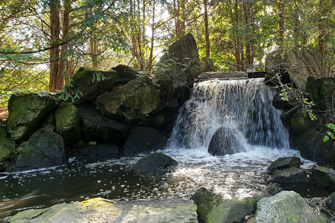 Wrocław : Visite de 3 heures en bateau à vapeur avec la salle du centenaire de l&#039;UNESCO