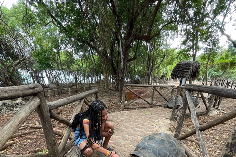 Ciudad de piedra y prisión Isla