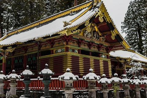 Nikko Gateway de luxo; tour guiado particular