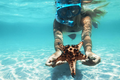 Cartagena: Excursão ao Oceanário das Ilhas do Rosário com SnorkelingPasseio de lancha rápida com 3 paradas no Oceanário das Ilhas do Rosário