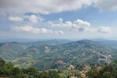 Chiang Rai: Mountains Discovery Doi Mae Salong & Doi Tung Mountains Discovery:Doi Mae Salong & Doi Tung (Private Tour)