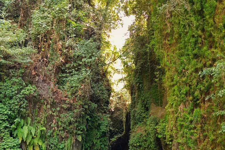 Bali : Petit trekking avec chutes d'eau