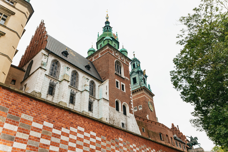 Krakow: Wawel Royal Hill Guided Tour Tour in Polish - Shared