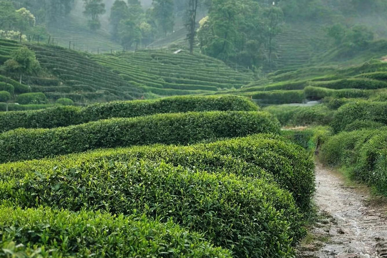 هانغتشو: جولة بالقارب في البحيرة الغربية، وقرية الشاي، والمعبد