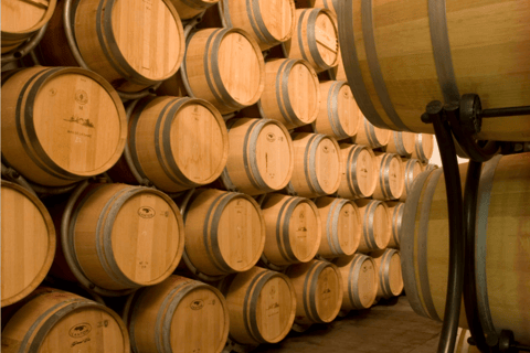 Alpilles: Discover vineyards and farms by electric bike