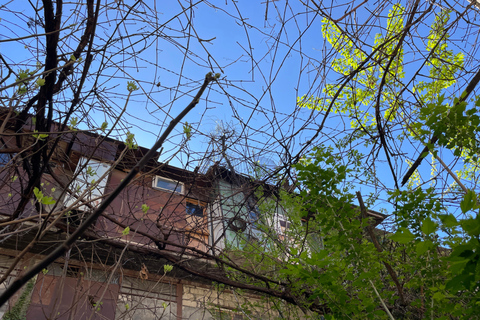 Tbilisi: Alternative Side Walking Tour — Raw, Real & Broken