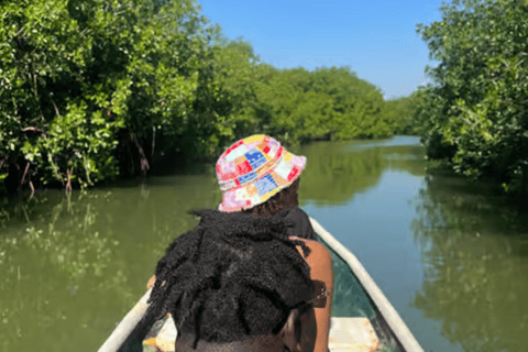 Cartagena: Day at Playa Tranquila + Snorkeling + Mangrove Walk and Raccoons Cartagena: Day Trip to a Quiet Beach + Snorkeling + Mangrove Walk