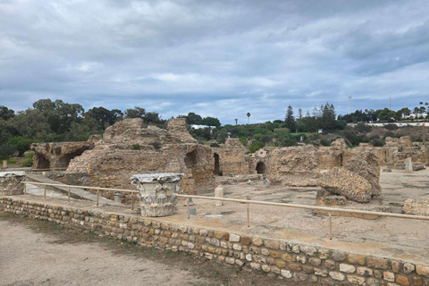 Tunis, Carthage & Bardo Museum: A Journey Through History From Mahdia