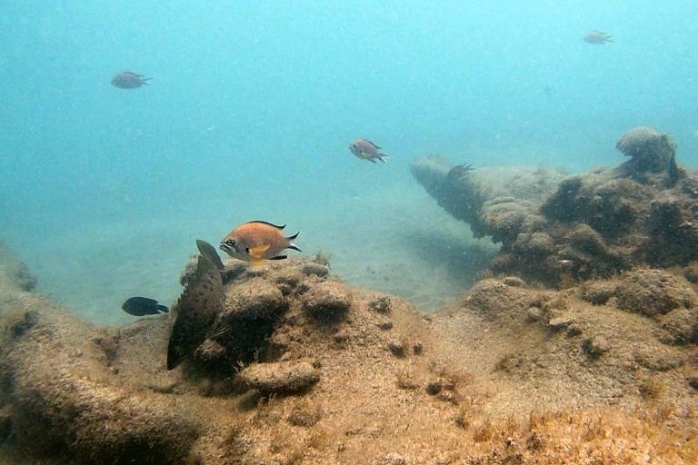 Fuerteventura: odkryj nurkowanieOdkryj nurkowanie