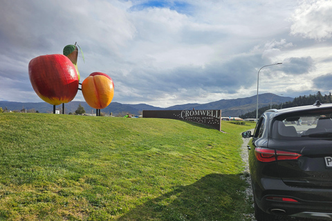 Queenstown: Glenorchy and Wanaka Private Day Trip