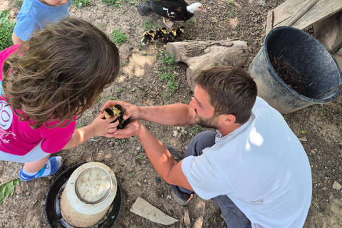 From Belgrade: Rakija-Making Experience with Lunch