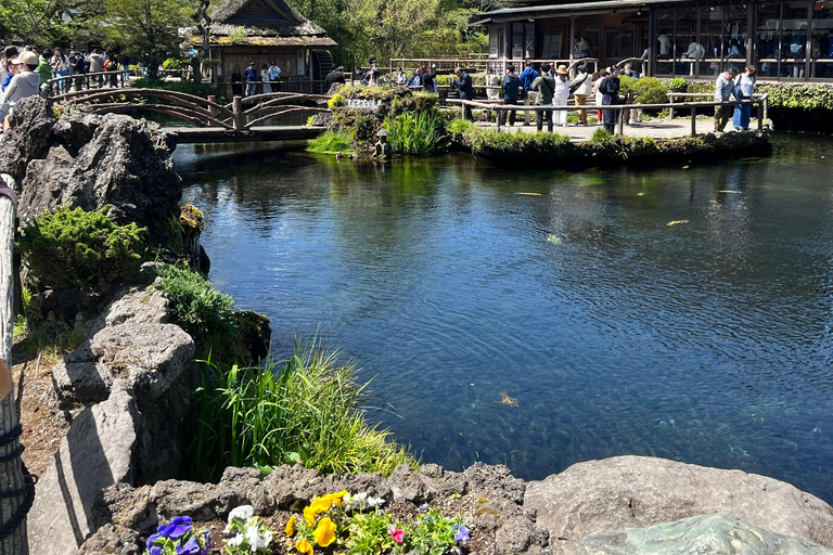 Depuis Tokyo/Yokohama : Excursion privée d'une journée au Mont Fuji et à Hakone