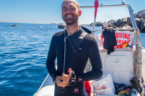 La Maddalena &amp; Lavezzi : plongée sous-marine pour les plongeurs certifiés.