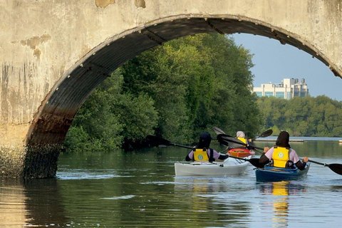 Kanotpaddling Mangroveupplevelse i JakartaUpplevelse av kanotpaddling i mangrove i Jakarta