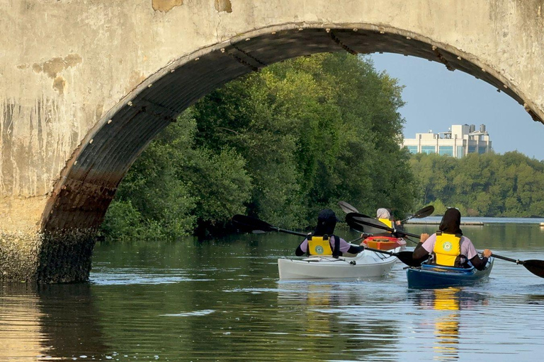 Kanotpaddling Mangroveupplevelse i JakartaUpplevelse av kanotpaddling i mangrove i Jakarta