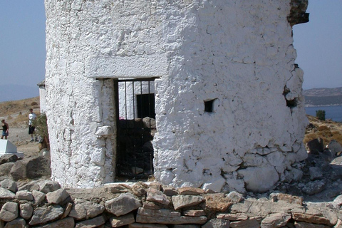 Bodrum: Private Half-Day City Tour with Castle & Guide