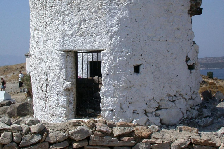 Bodrum: Private Half-Day City Tour with Castle & Guide