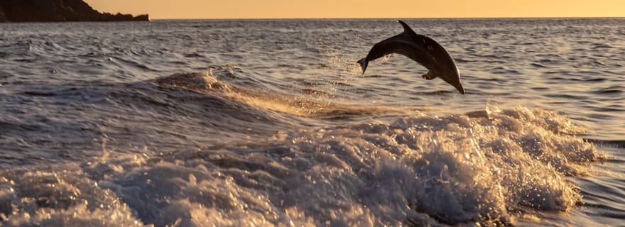 Golfe d'Ajaccio / Anse de cacao, pause baignade