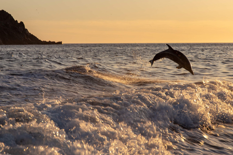 Ajaccio: Sunset Sea Trip to Sanguinaires Islands