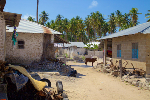 Zanzibar: Rundtur i byn Paje