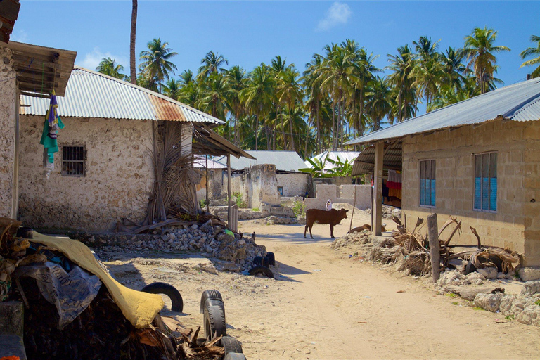 Zanzibar: Rundtur i byn Paje