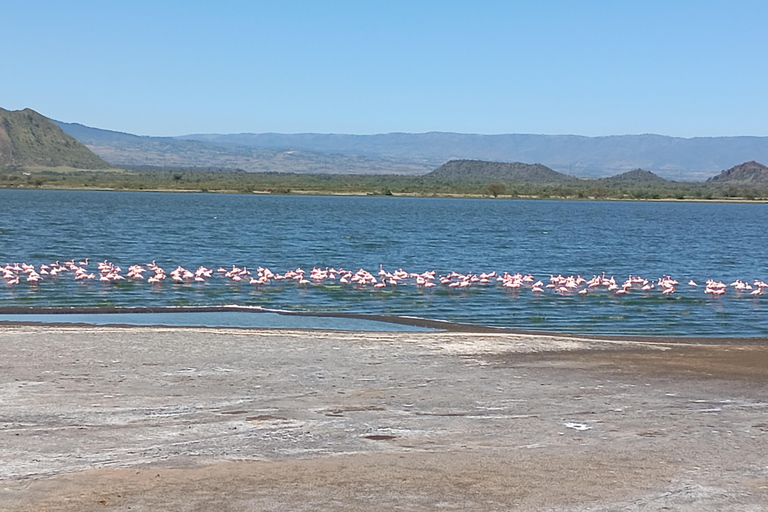 From Nairobi: Lake Nakuru & Naivasha National Park Day Tour Lake Nakuru & Naivasha
