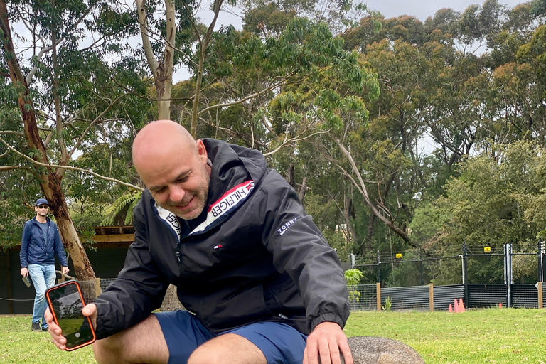 Sydney: Royal National Park tour with picnic RNP Private Tour