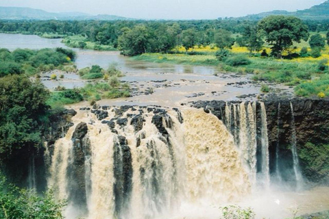 Ethiopia: 5-Day Ultimate Safari Expedition Guided Tour