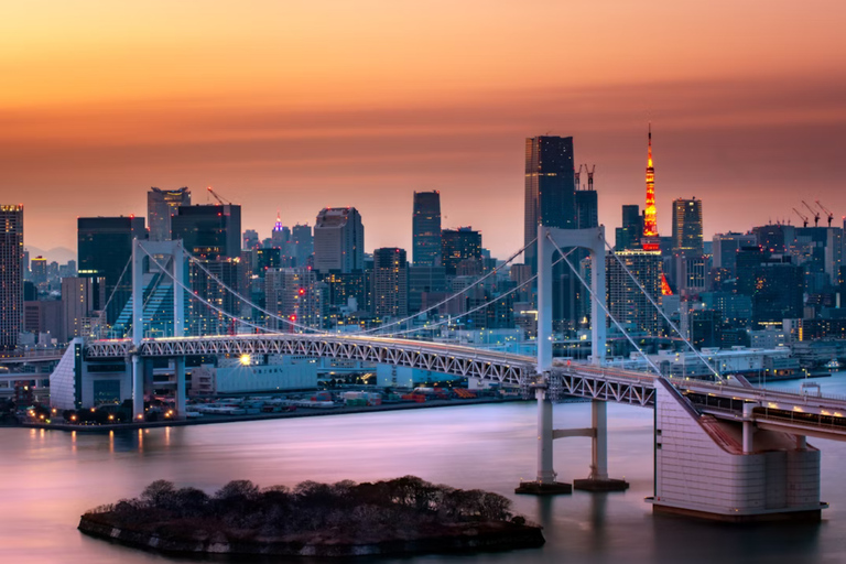 Tokyo Private Tour with English speaking driver Luxury Minivan(1 - 6)