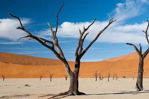 Namibia: 13-Day Tour with Game Drives and Hot Air Balloon