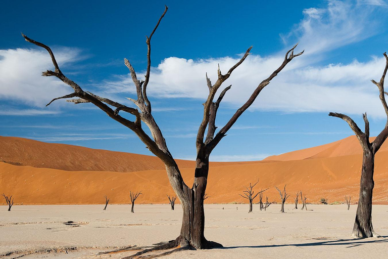 Namibia: 13-Day Tour with Game Drives and Hot Air Balloon