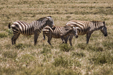 Visite du parc national de Hells Gate et du lac Naivasha