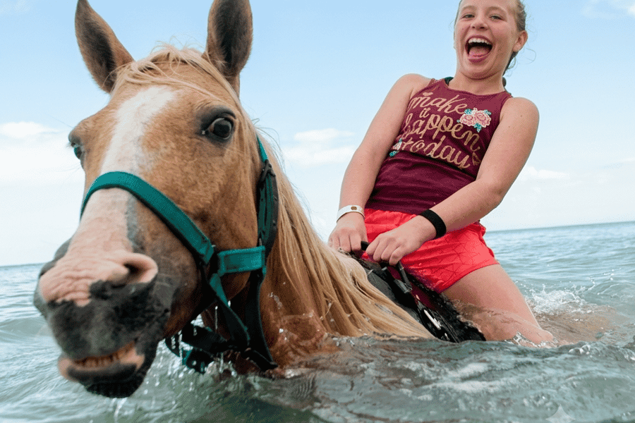Hurghada: Schwimmen mit Pferden im Roten Meer. Foto: GetYourGuide Hurghada: Schwimmen mit Pferden im Roten Meer. Foto: GetYourGuide