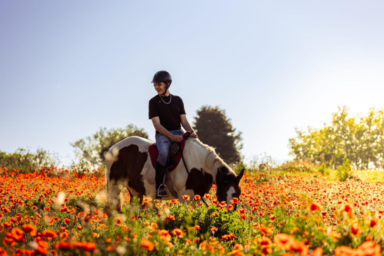 Horse Sanctuary in Rome Elevating the Ride: Summer in the Simbruini Mountains