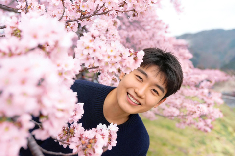 From Seoul: Wonju Nature Day Trip, Ginkgo Tree & Cable Car A. [Spring] Sogeumsan Cable Car & Cherry Blossom Tunnel Tour