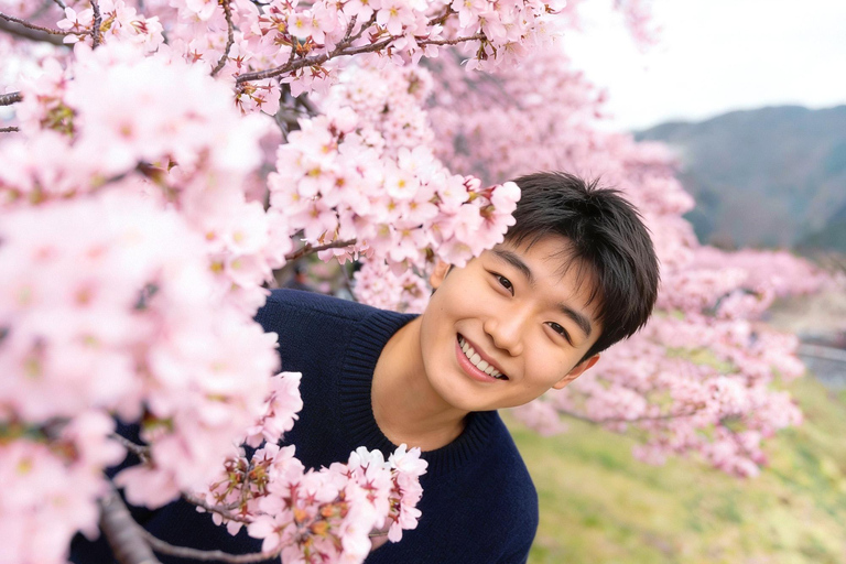 From Seoul: Wonju Nature Day Trip, Ginkgo Tree & Cable Car A. [Spring] Sogeumsan Cable Car & Cherry Blossom Tunnel Tour