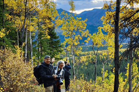 Denali: 5-Hour Guided Wilderness Hiking Tour Denali 4-Hour Hiking Tour