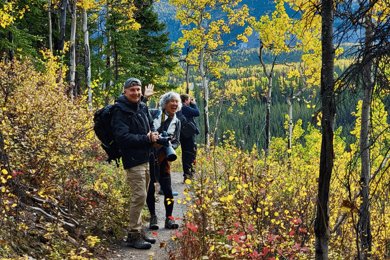 Denali: 5-Hour Guided Wilderness Hiking Tour Denali 4-Hour Hiking Tour