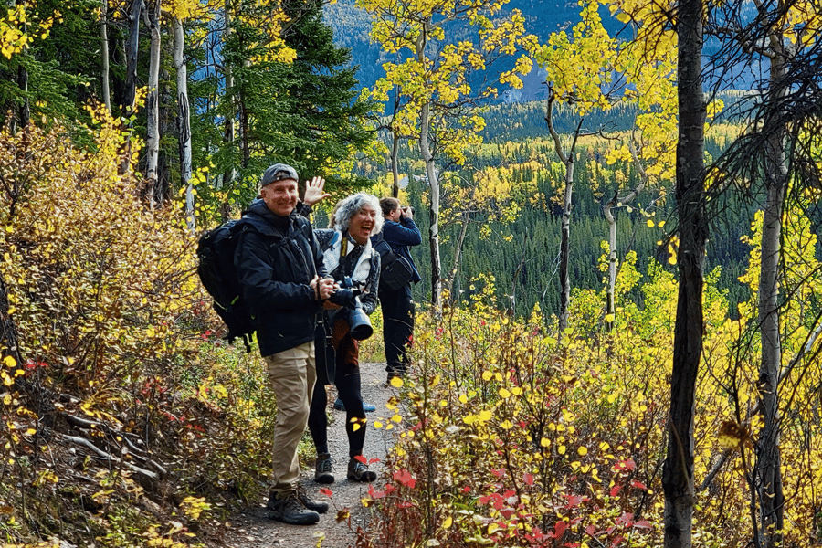 Denali: Denali National Park Rundgang. Foto: GetYourGuide