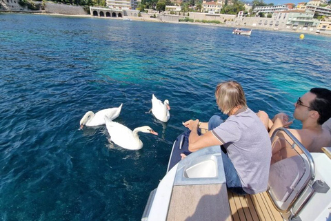 Wycieczka łodzią w grupie mieszanej, pływanie i snorkeling w Nicei Villefranche