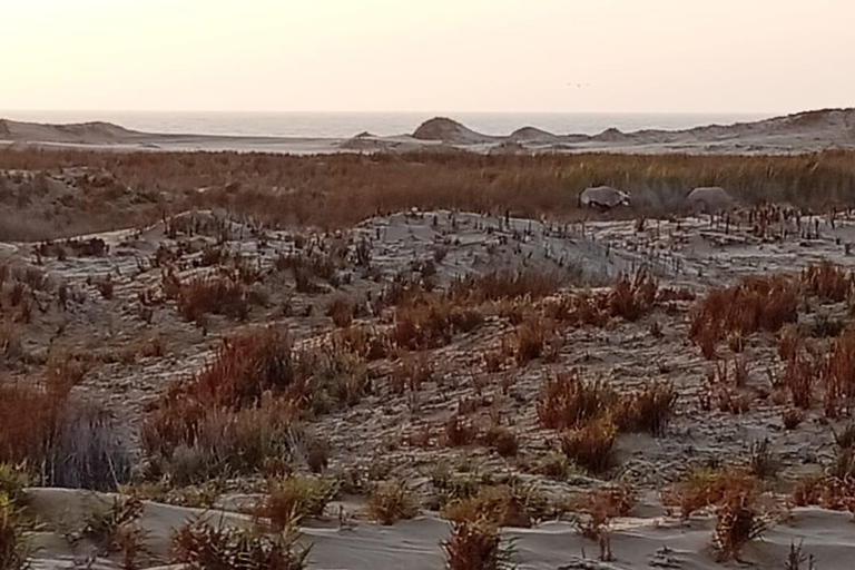 Sandwich Harbour: Sunset Photography Tour from Swakopmund