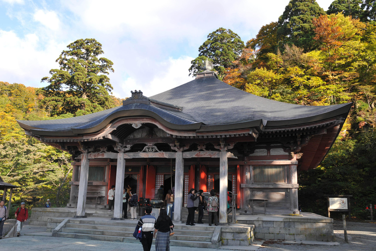 Tokyo Cherry Blossom Walking Tour & Hanami Experience