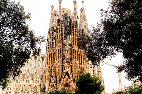 Ingressos e guia: Luzes e sombras da Sagrada Família