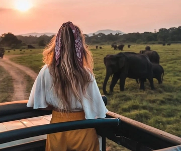Minneriya: Minneriya National Park Private Wildlife Tour