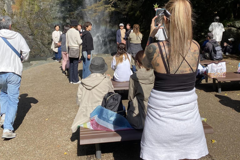 Osaka: Mino Forest Walk and Giant Waterfall with Local Lunch