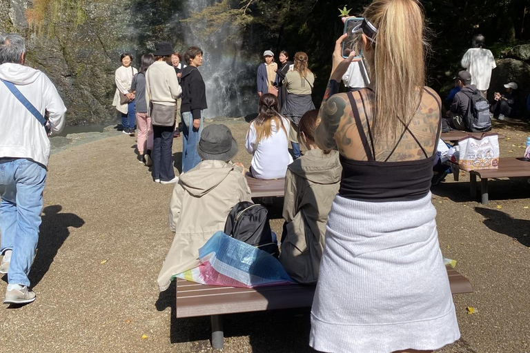 Osaka: Mino Forest Walk and Giant Waterfall with Local Lunch