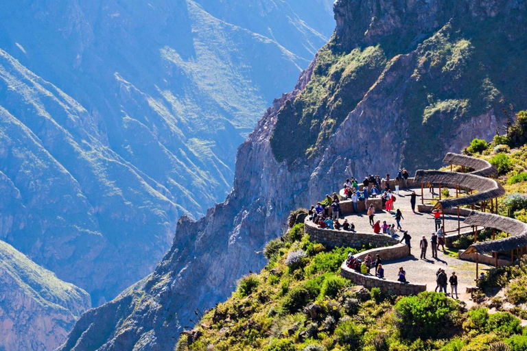 Excursión de 1 día al Cañón del Colca + Aguas Termales