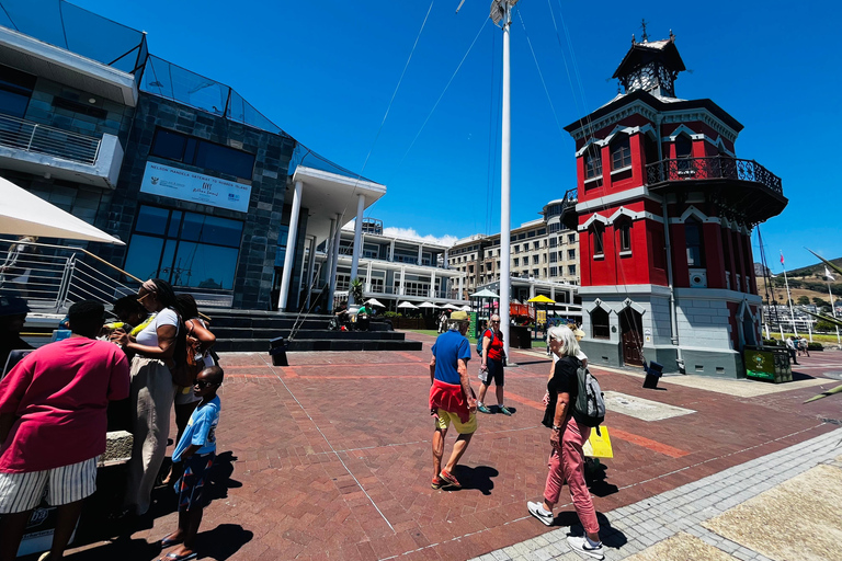 Robben Island, Penguins & Cape of Good Hope Adventure