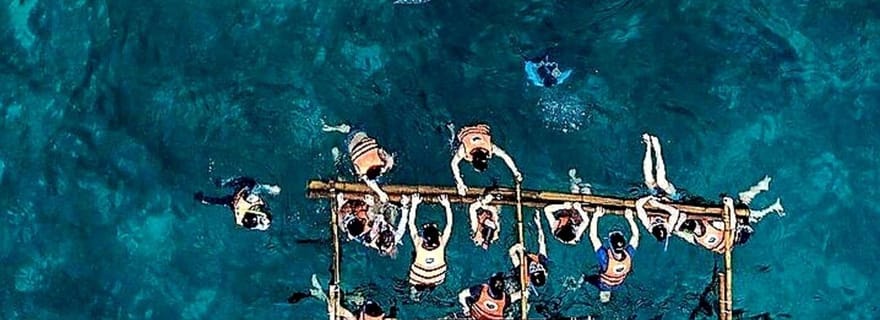 Oslob : Rencontre avec le requin-baleine, chutes du Ka-Treasure et Simala