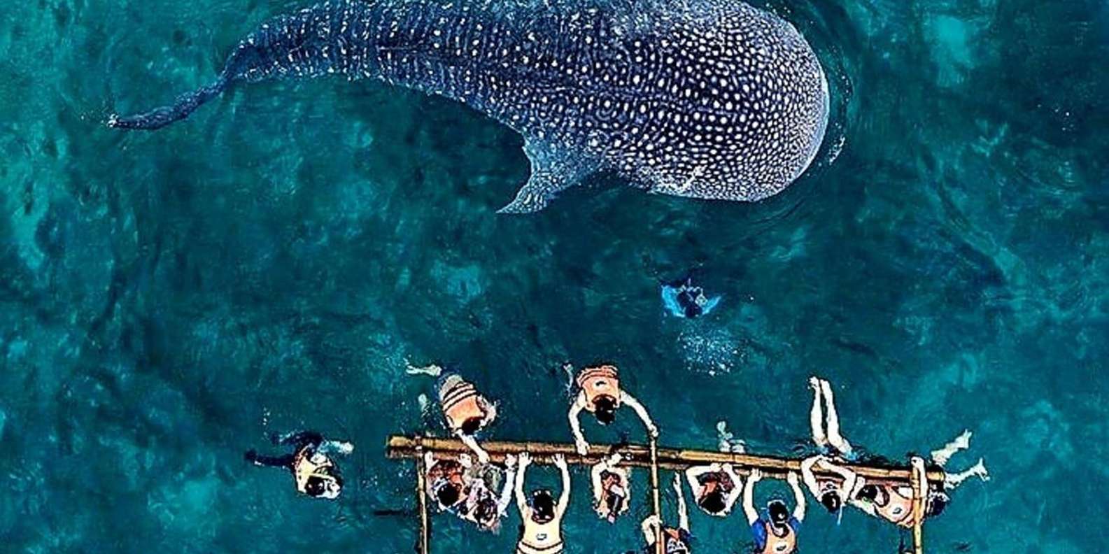 Redhead joja minal beradi